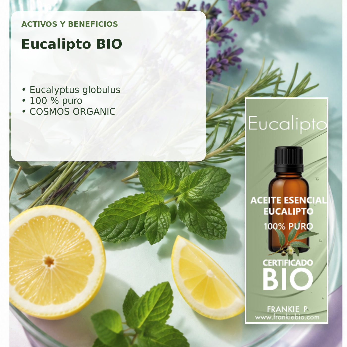 Aceite Esencial de Eucalipto BIO - 15 ml - activos y beneficios